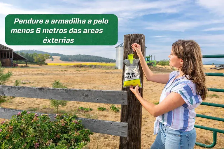 Armadilha para moscas Fly Trap (A MAIS EFICAZ), foto 6