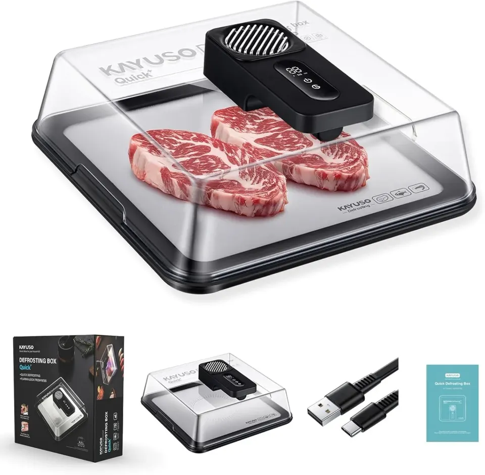 Bandeja de descongelamento rápida para carne, caixa de descongelamento de carne recarregável via USB com tampa, foto 3