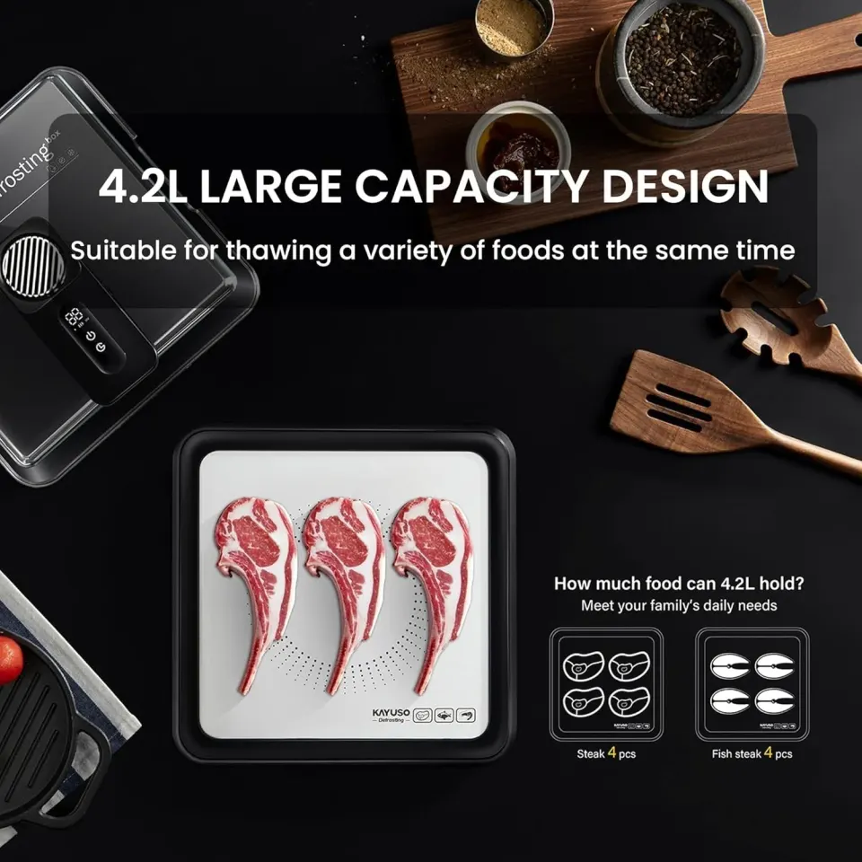 Bandeja de descongelamento rápida para carne, caixa de descongelamento de carne recarregável via USB com tampa, foto 4