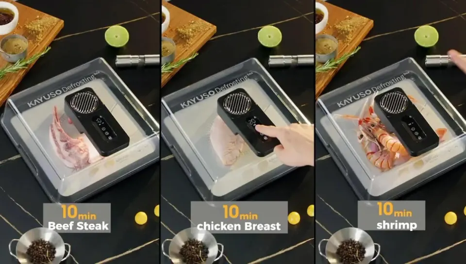 Bandeja de descongelamento rápida para carne, caixa de descongelamento de carne recarregável via USB com tampa, foto 2